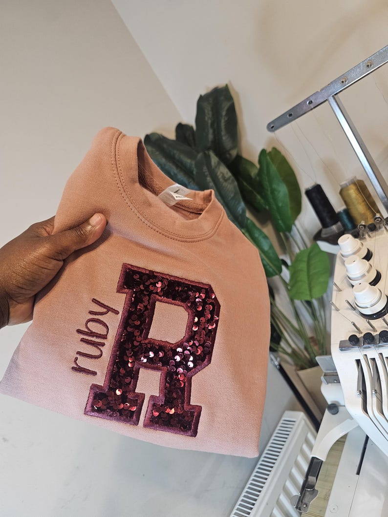 Personalized toddler sweatshirt Gift/Embroidered